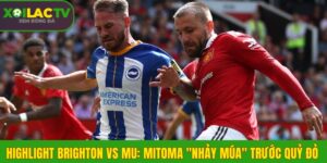 Highlight Brighton vs MU