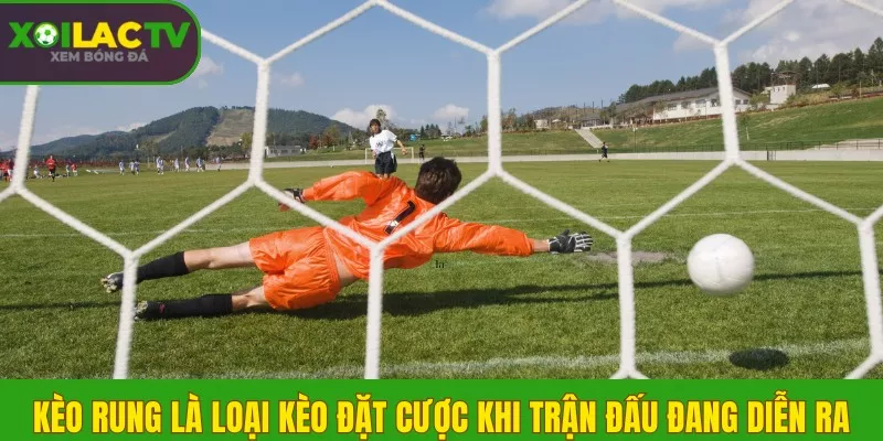 Kèo Rung là loại kèo đặt cược khi trận đấu đang diễn ra