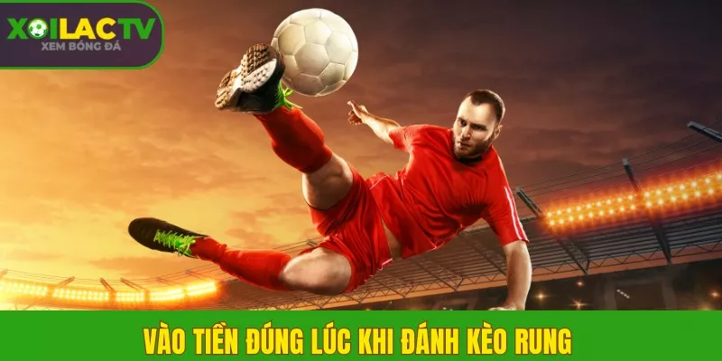 Vào tiền đúng lúc khi đánh kèo rung 