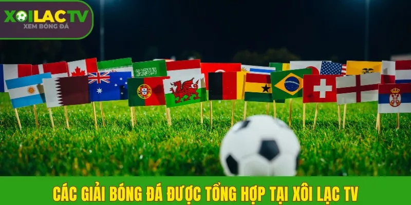 Các giải bóng đá được tổng hợp tại Xôi Lạc TV