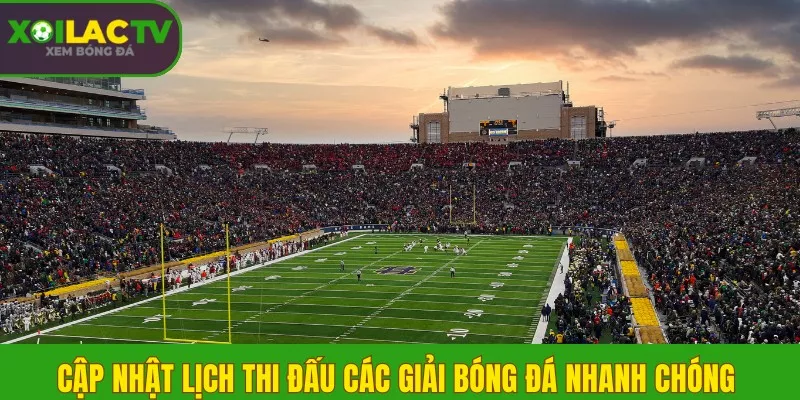 Cập nhật lịch thi đấu các giải bóng đá nhanh chóng 