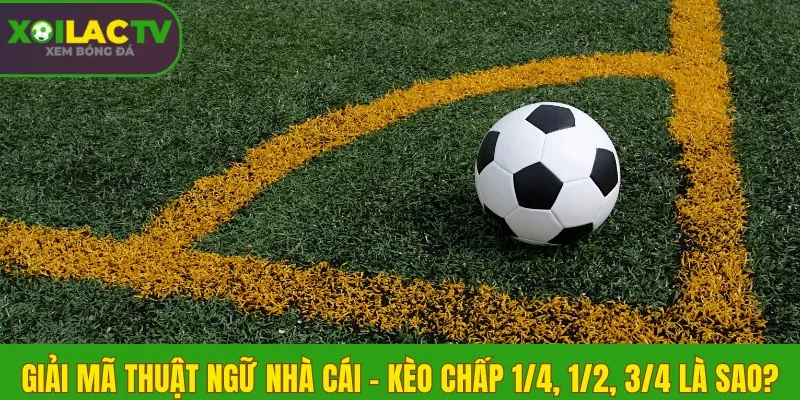 Giải mã thuật ngữ nhà cái – Kèo chấp 1/4, 1/2, 3/4 là sao? 2 Hiểu về Kèo chấp 1/4