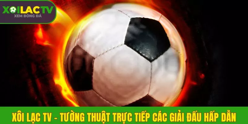 Xôi Lạc TV - Tường thuật trực tiếp các giải đấu hấp dẫn Xôi Lạc TV - Tường thuật trực tiếp các giải đấu hấp dẫn